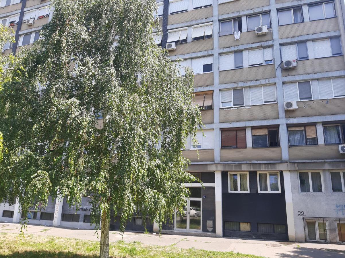 Apartamento Blue Danube Belgrado Exterior foto
